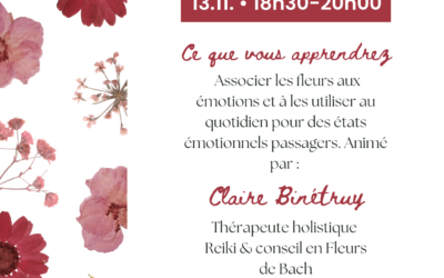 Workshop Entdeckung der Bachblüten